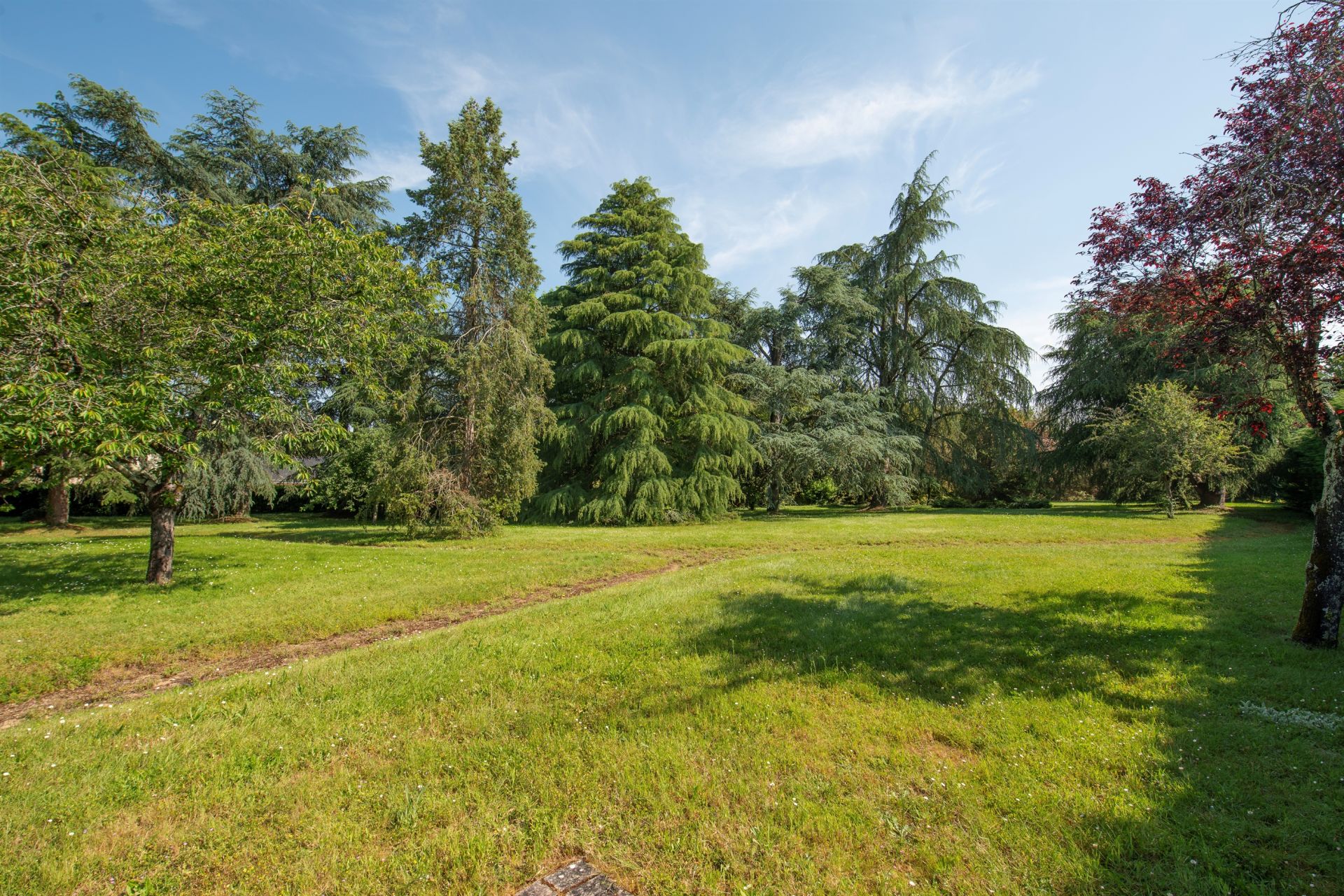 propriété 16 Pièces en vente sur ANGERS (49000)