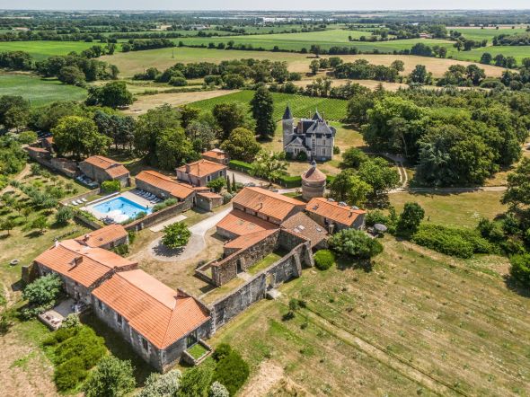 Vente Château Mareuil-sur-Lay-Dissais 12 Pièces 300 m²
