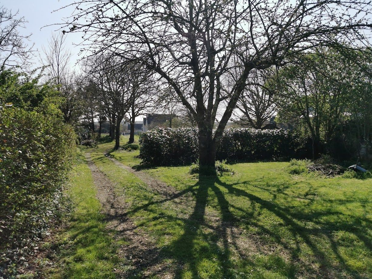 maison 13 Pièces en vente sur LES GARENNES SUR LOIRE (49320)