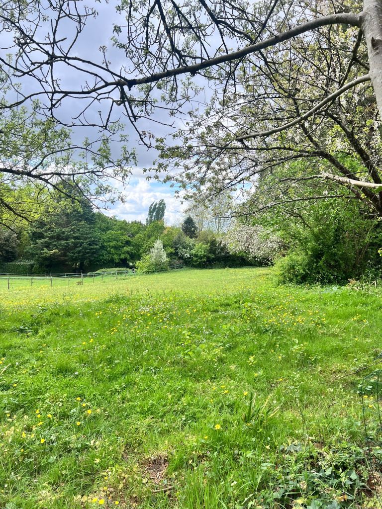 land for sale on VERTOU (44120)