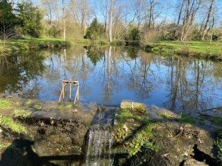 mansion 16 Rooms for sale on BRESSUIRE (79300)