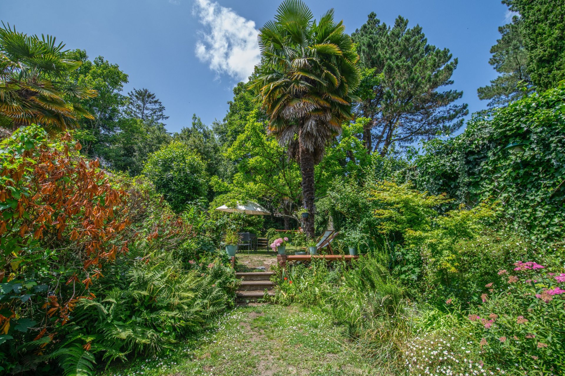 maison bourgeoise 8 Pièces en vente sur NANTES (44100)