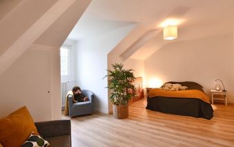 house 10 Rooms for sale on LA CHAPELLE SUR ERDRE (44240)
