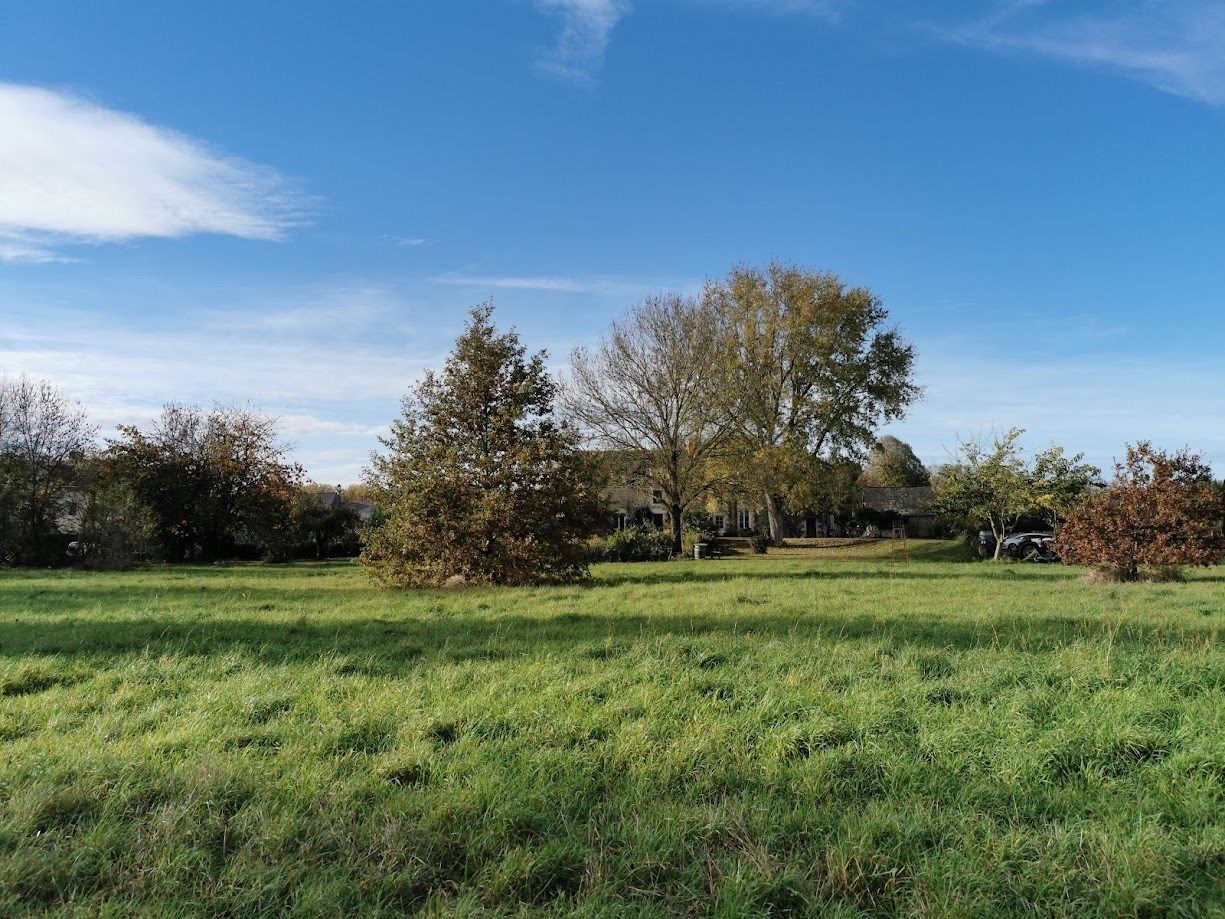 maison 10 Pièces en vente sur ANGERS (49000)