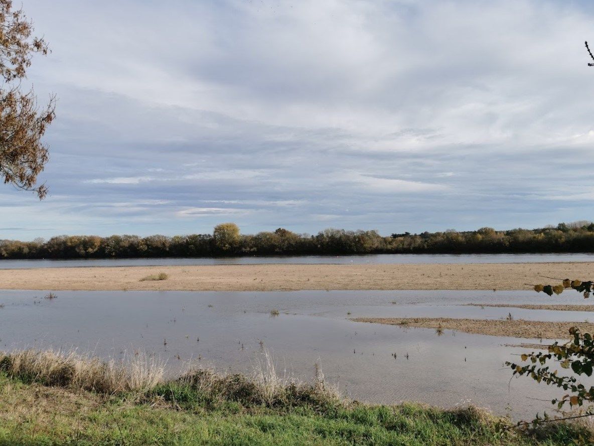 house 10 Rooms for sale on ANGERS (49000)