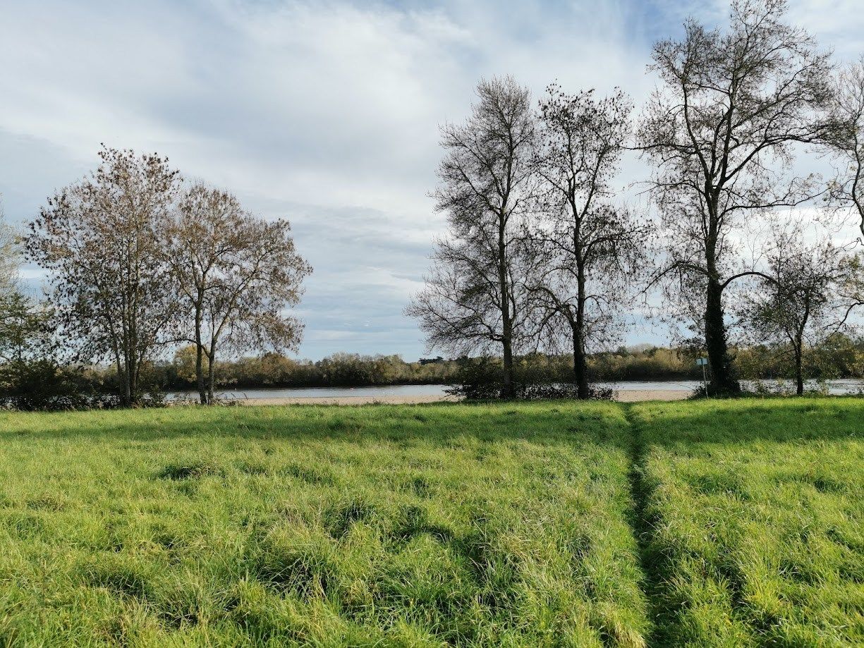 house 10 Rooms for sale on ANGERS (49000)