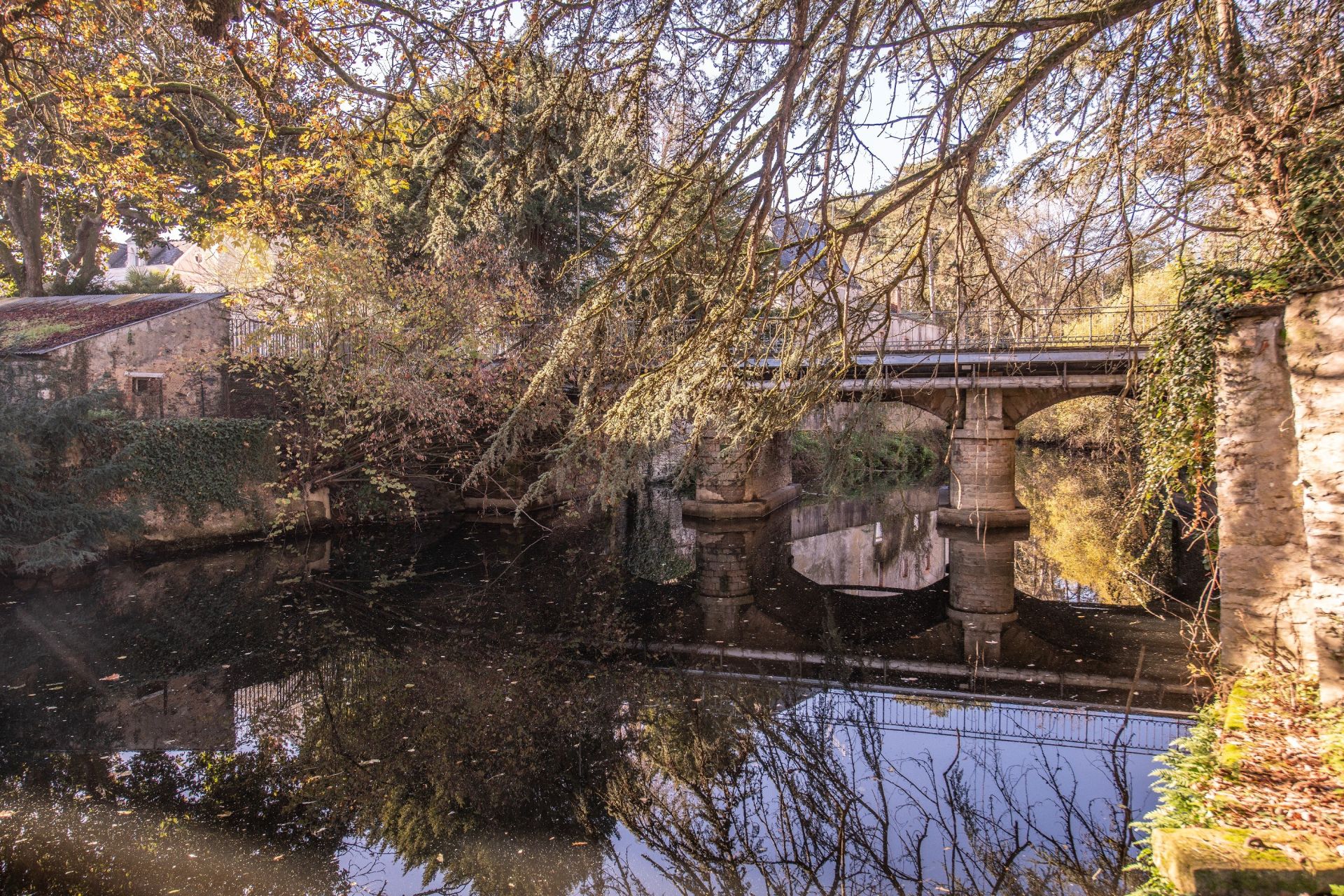 house 13 Rooms for sale on SEGRE EN ANJOU BLEU (49500)