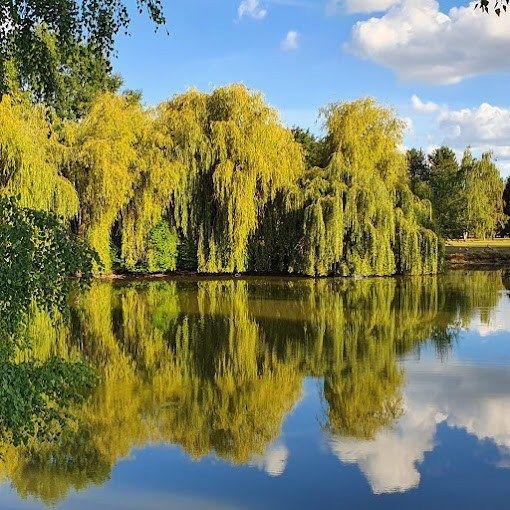 property 92 Rooms for sale on ANGERS (49000)