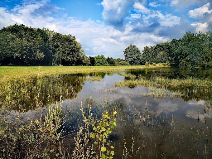 property 92 Rooms for sale on ANGERS (49000)