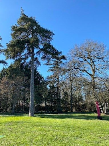 propriété 92 Pièces en vente sur ANGERS (49000)