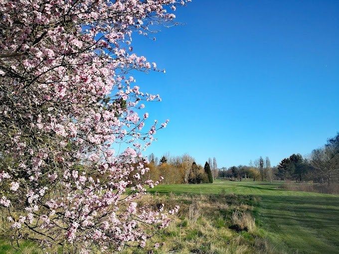 propriété 116 Pièces en vente sur ANGERS (49000)