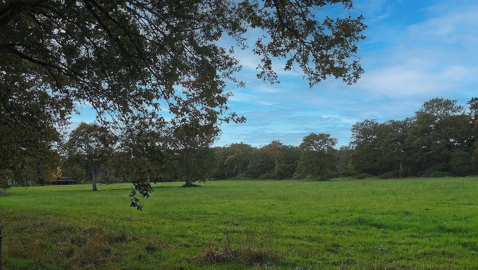 maison 24 Pièces en vente sur ANGERS (49000)