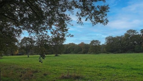 Vente Maison Angers 24&nbsp;Pièces 896&nbsp;m²