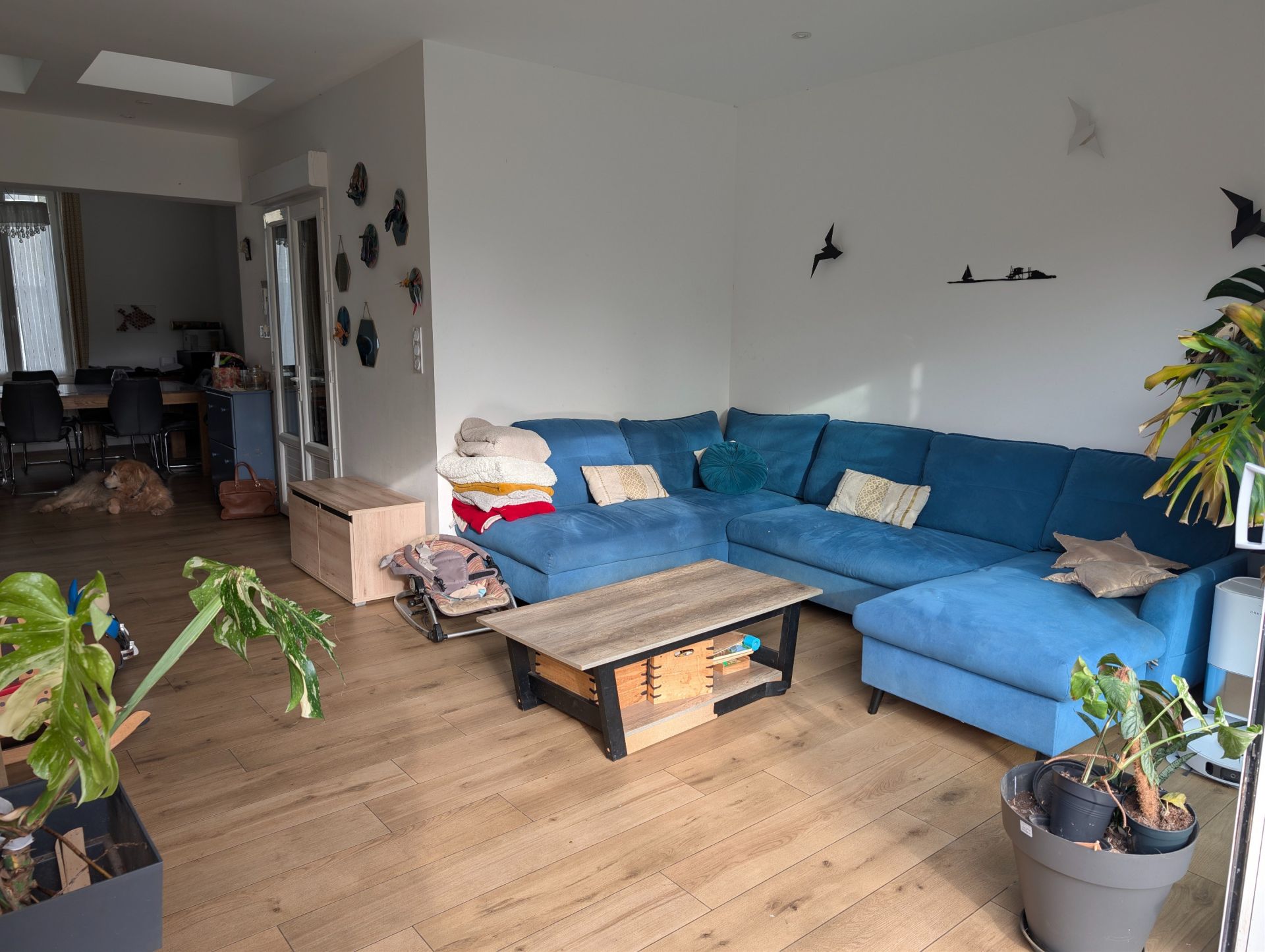 maison 9 Pièces en vente sur ANGERS (49100)