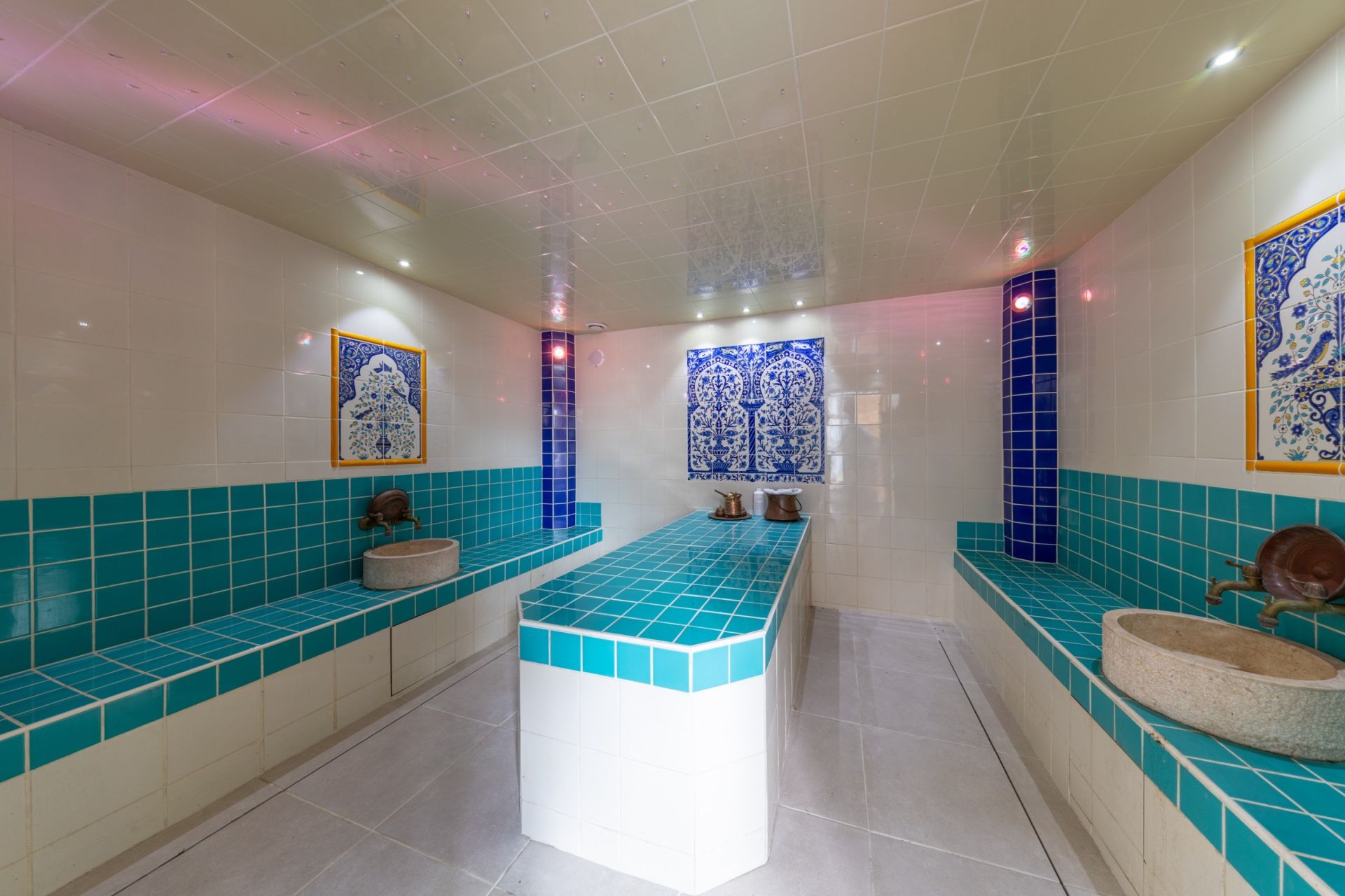 house 11 Rooms for sale on JARD SUR MER (85520)