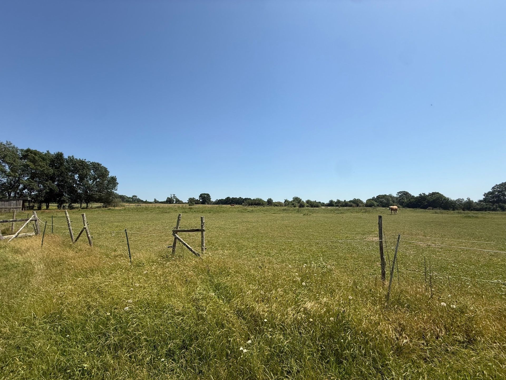 propriété équestre 6 Pièces en vente sur LIGNE (44850)