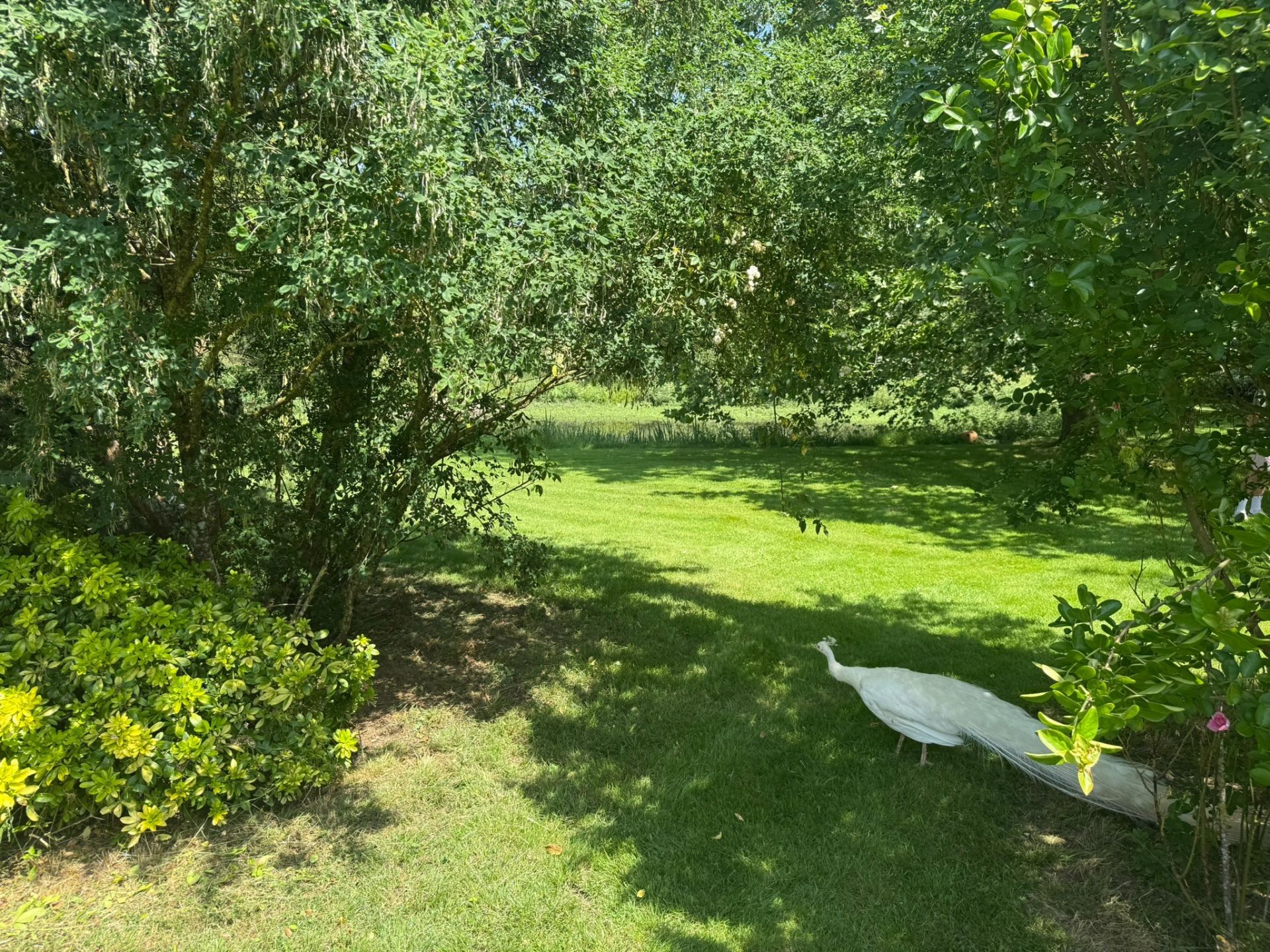 propriété équestre 6 Pièces en vente sur LIGNE (44850)