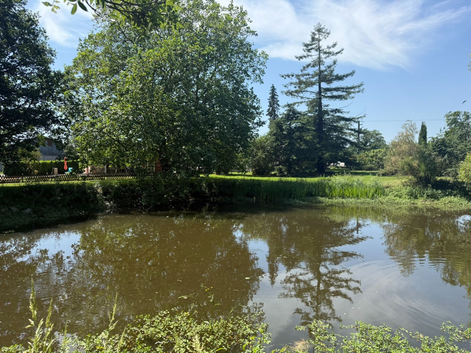 propriété équestre 6 Pièces en vente sur LIGNE (44850)