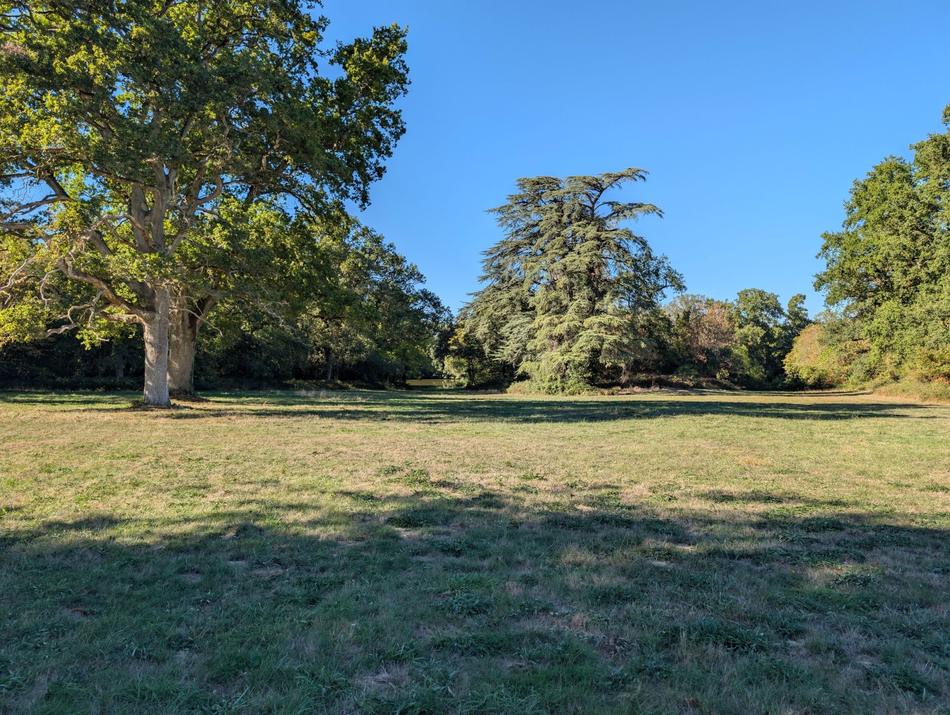 château 30 Pièces en vente sur ANGERS (49000)