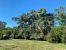 house 16 Rooms for sale on BRESSUIRE (79300)