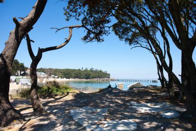 Propriétés haut de gamme en bord de mer Nantes La Baule Paris