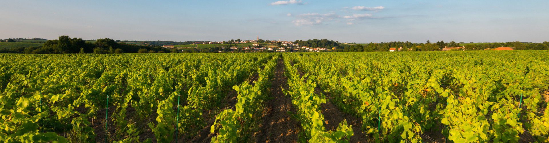 Luxury real estate in Loire Atlantique and on the coast of Vendée