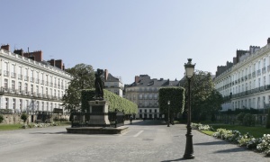 Trust us with your search