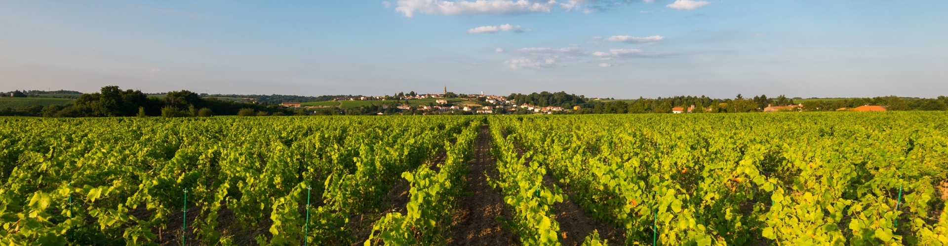 Luxury real estate in Loire Atlantique and on the coast of Vendée